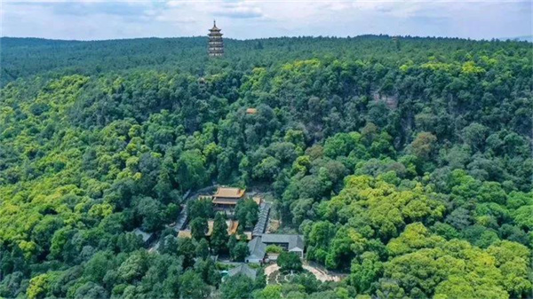 康養(yǎng)+旅游，冬游楚雄就選這條自駕線路