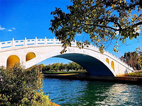 是時(shí)候去濕地公園轉(zhuǎn)轉(zhuǎn)了，水杉、白鷺、紅嘴鷗……多彩生物已上線！