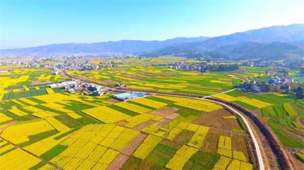 冬未盡，春已來(lái)！楚雄早春賞花計(jì)劃可以安排起來(lái)了