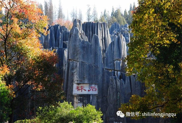 石林，中國(guó)天然氧吧