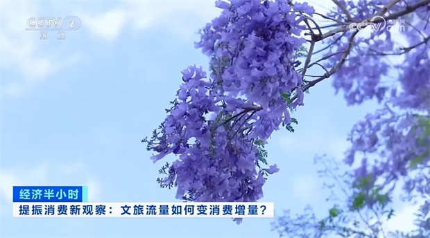 云南旅游,云南旅行社,云南團建公司,云南策劃公司,云南會議執(zhí)行公司,昆明旅游,昆明旅行社,昆明團建公司,昆明策劃公司,昆明會議執(zhí)行公司：央視13分鐘聚焦！昆明以花為媒提振消費 文旅流量變消費增量