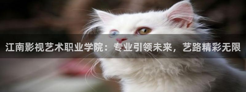 青苹果乐园影院在线播放