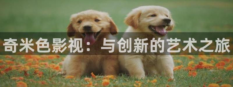 青苹果乐园影院yy6080